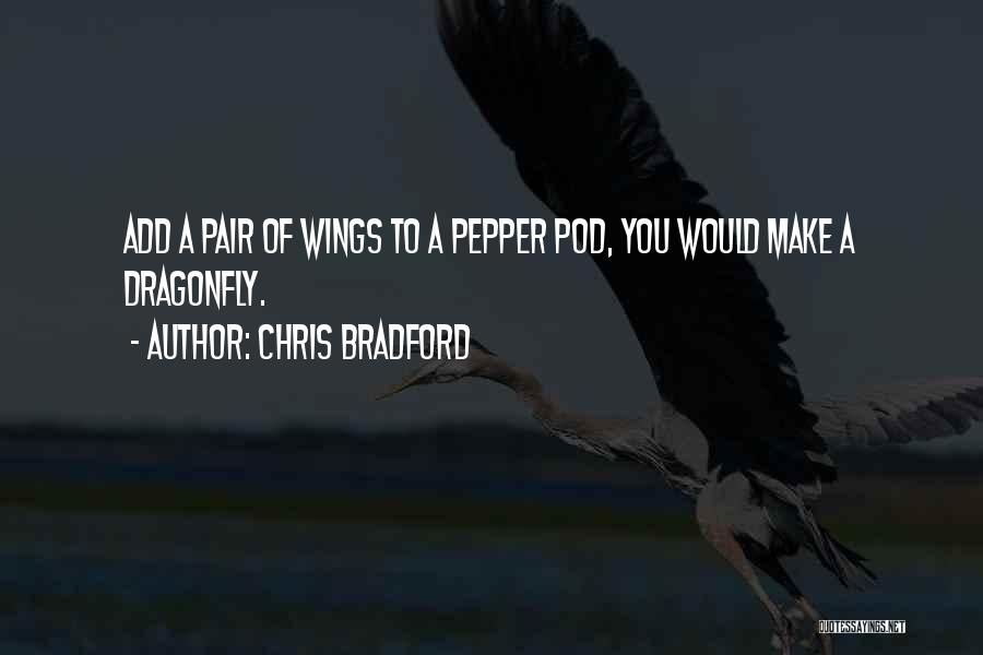 Dragonfly Wings Quotes By Chris Bradford