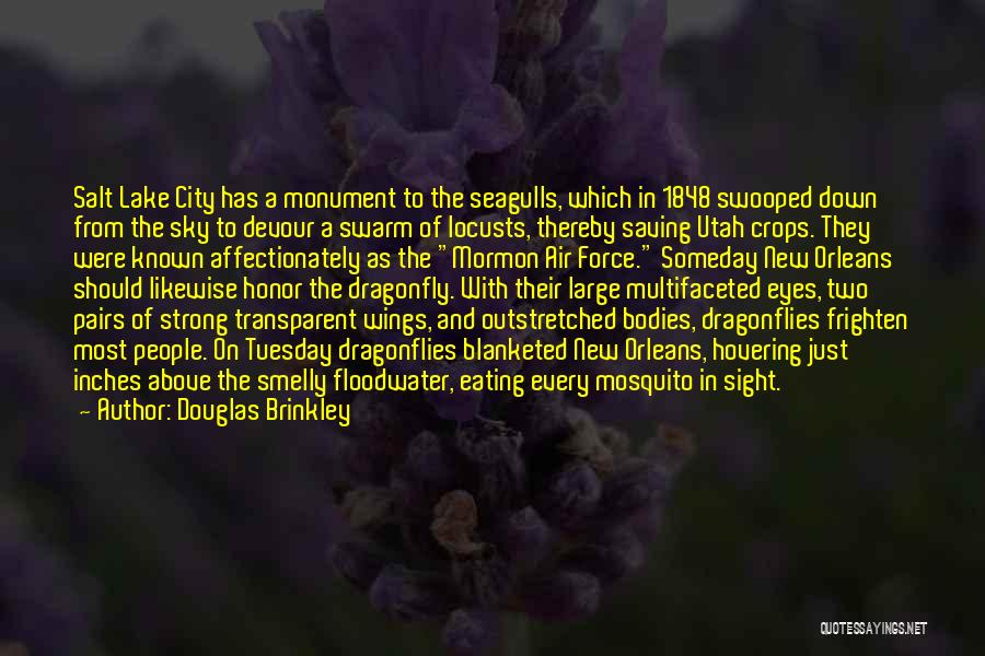 Dragonfly Wings Quotes By Douglas Brinkley