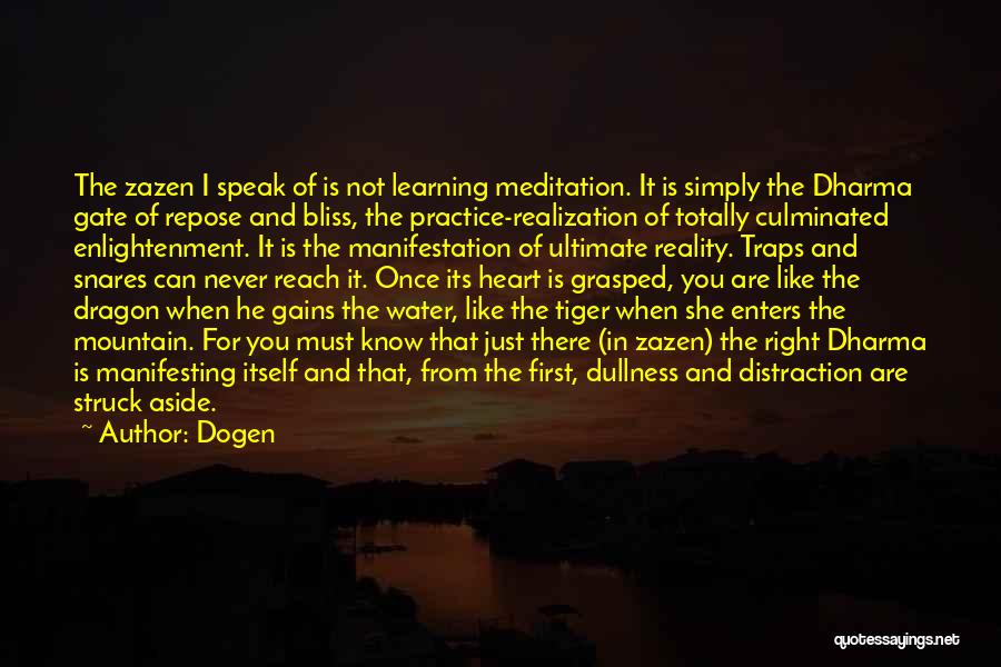 Dragon's Gate Quotes By Dogen