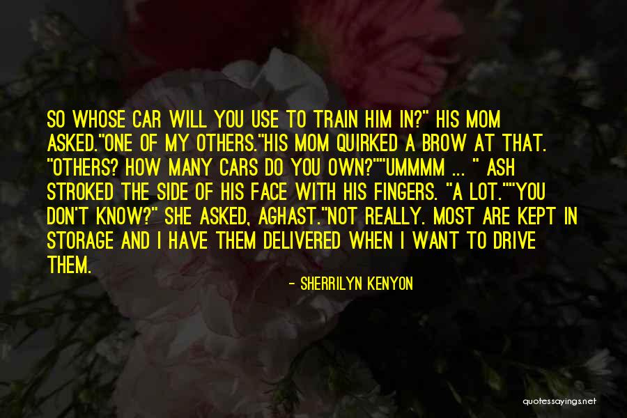 Dragonslayers Quotes By Sherrilyn Kenyon Dragonslayers Quotes By Sherrilyn Kenyon