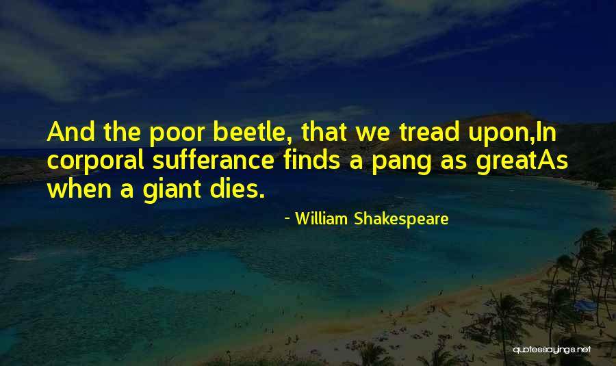 Drahoslav Ryba Quotes By William Shakespeare Drahoslav Ryba Quotes By William Shakespeare