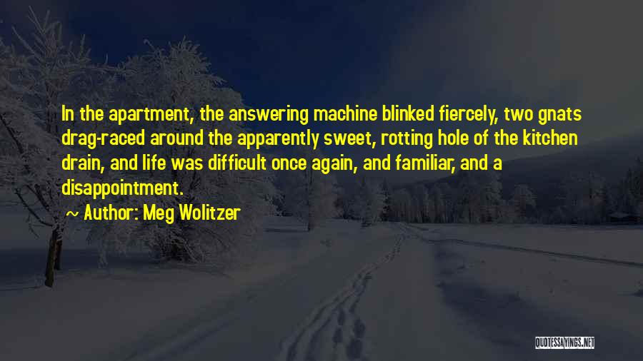 Drain Quotes By Meg Wolitzer