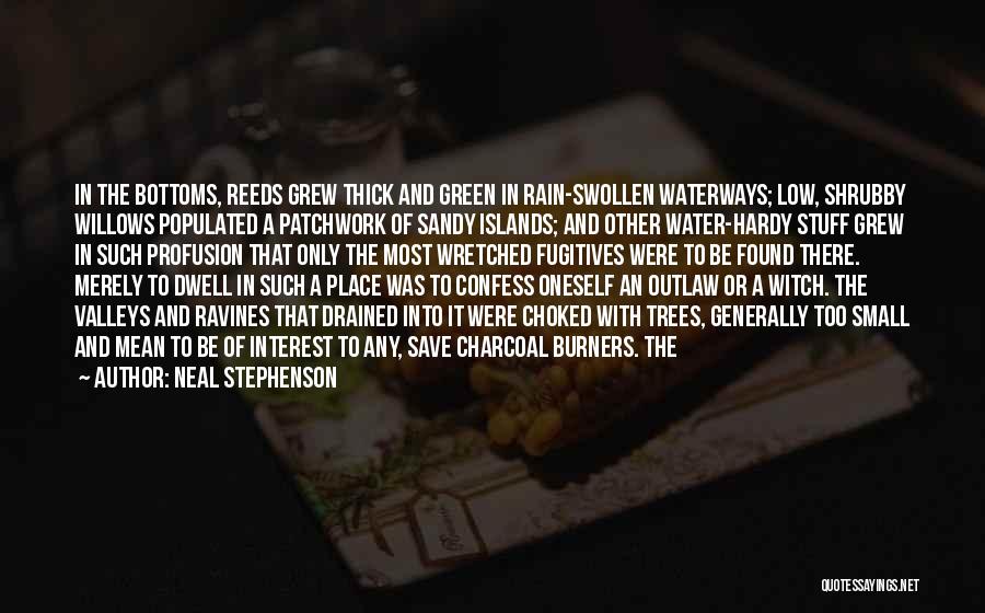 Drained Quotes By Neal Stephenson