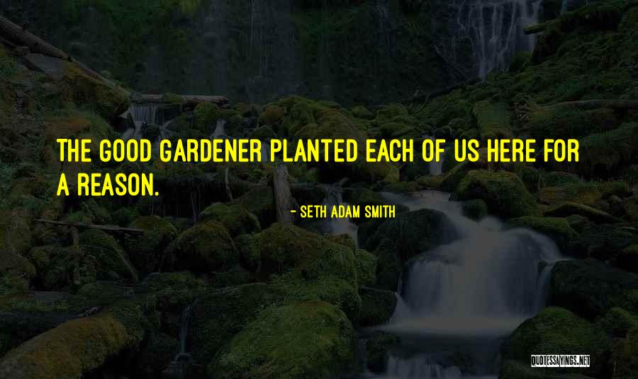 Draisines Quotes By Seth Adam Smith Draisines Quotes By Seth Adam Smith