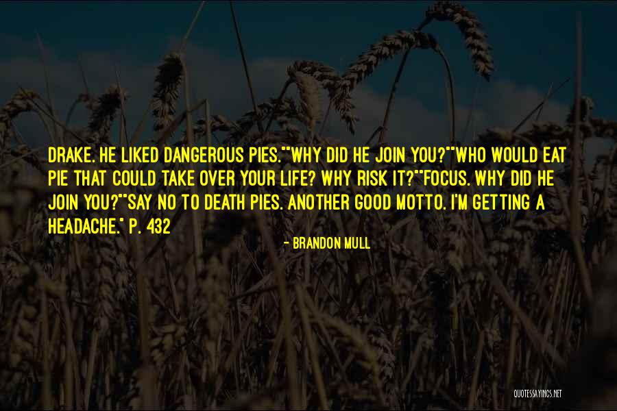Drake Say Something Quotes By Brandon Mull Drake Say Something Quotes By Brandon Mull