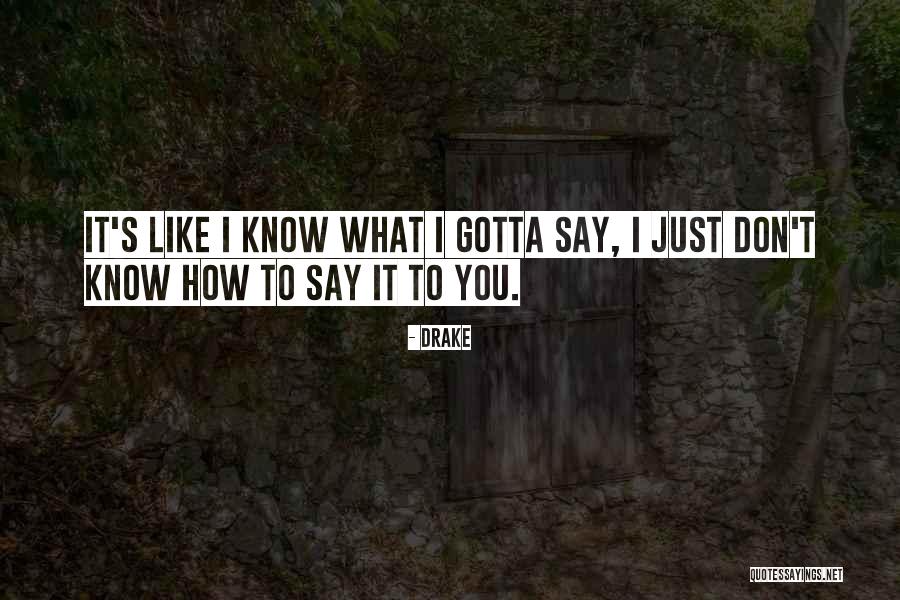 Drake Say Something Quotes By Drake Drake Say Something Quotes By Drake