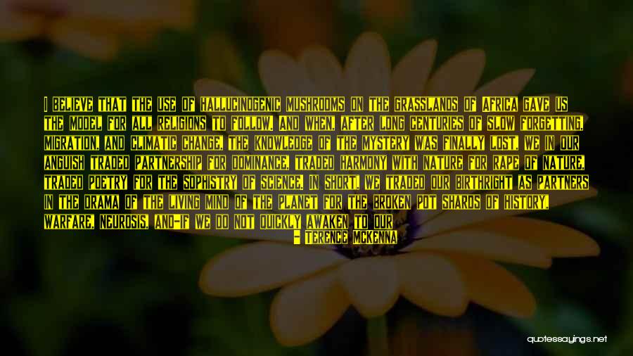 Drama Of The Lost Quotes By Terence McKenna Drama Of The Lost Quotes By Terence McKenna