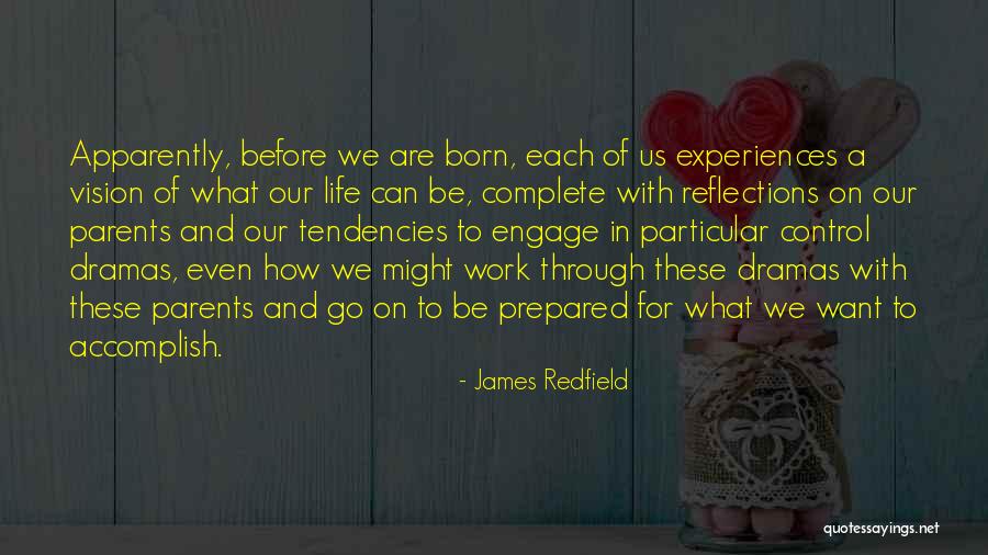 Dramas In Life Quotes By James Redfield