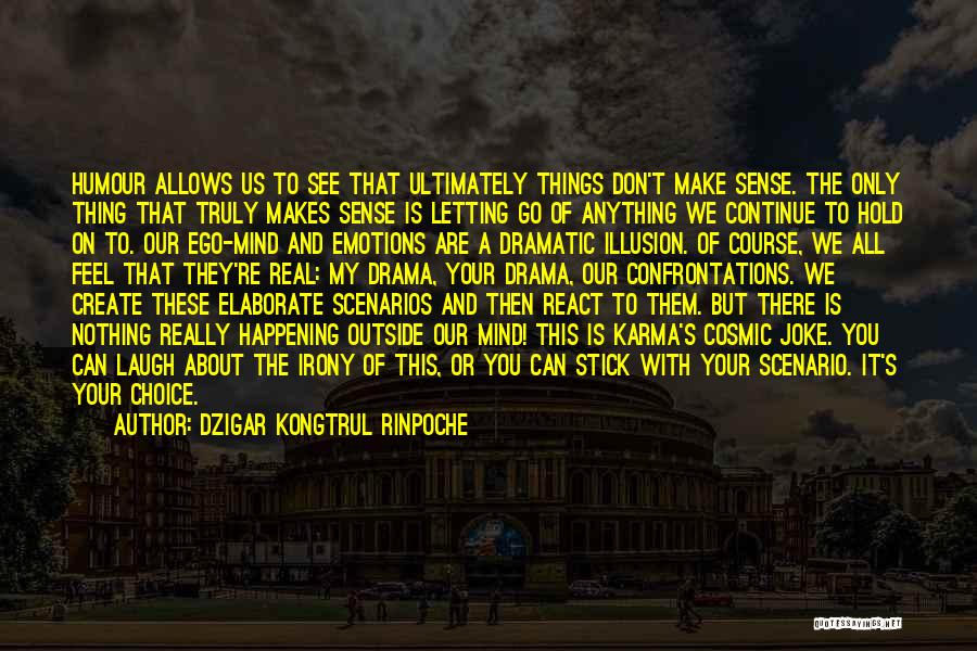 Dramatic Irony Quotes By Dzigar Kongtrul Rinpoche