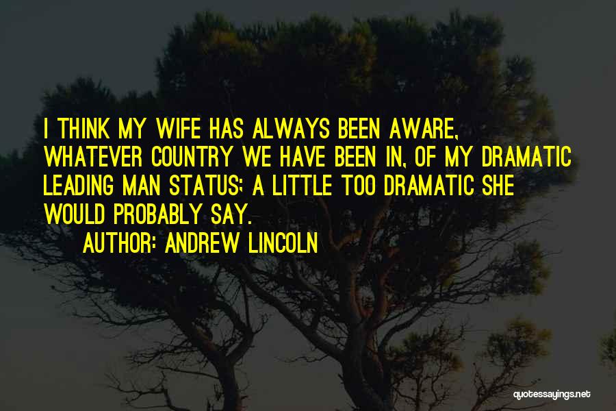 Dramatic Quotes By Andrew Lincoln