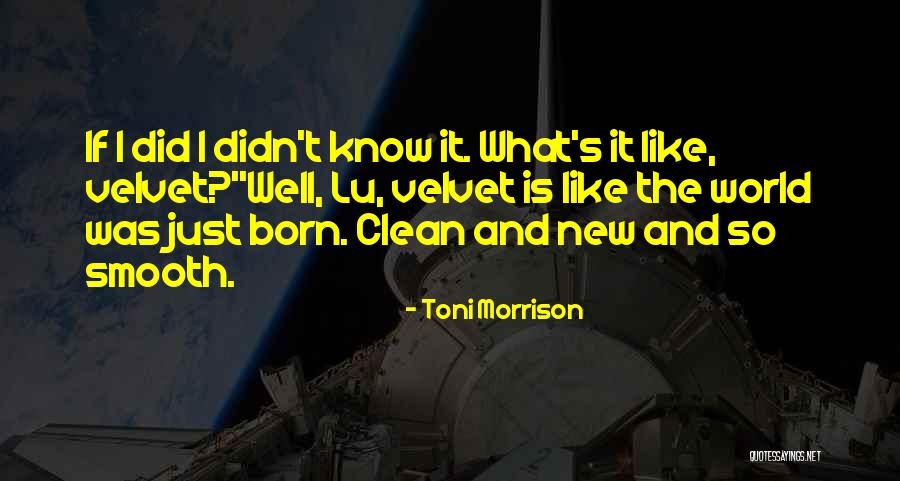 Dramatisations Quotes By Toni Morrison Dramatisations Quotes By Toni Morrison