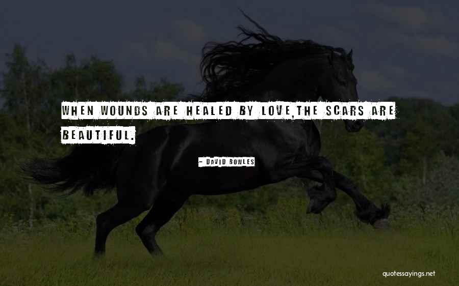 Drammilion Quotes By David Bowles Drammilion Quotes By David Bowles