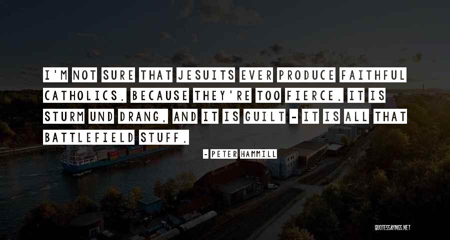 Drang And Sturm Quotes By Peter Hammill Drang And Sturm Quotes By Peter Hammill