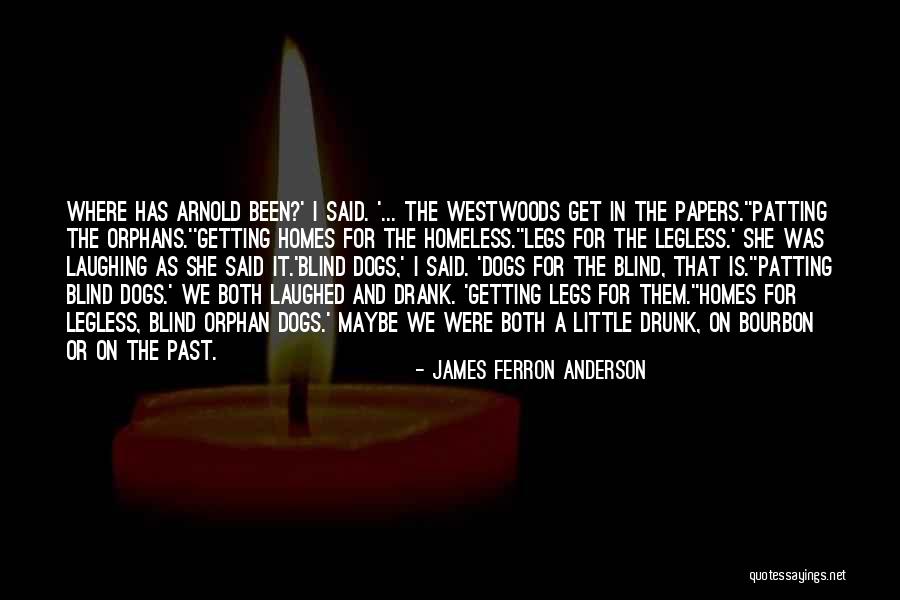 Drank Vs Drunk Quotes By James Ferron Anderson Drank Vs Drunk Quotes By James Ferron Anderson