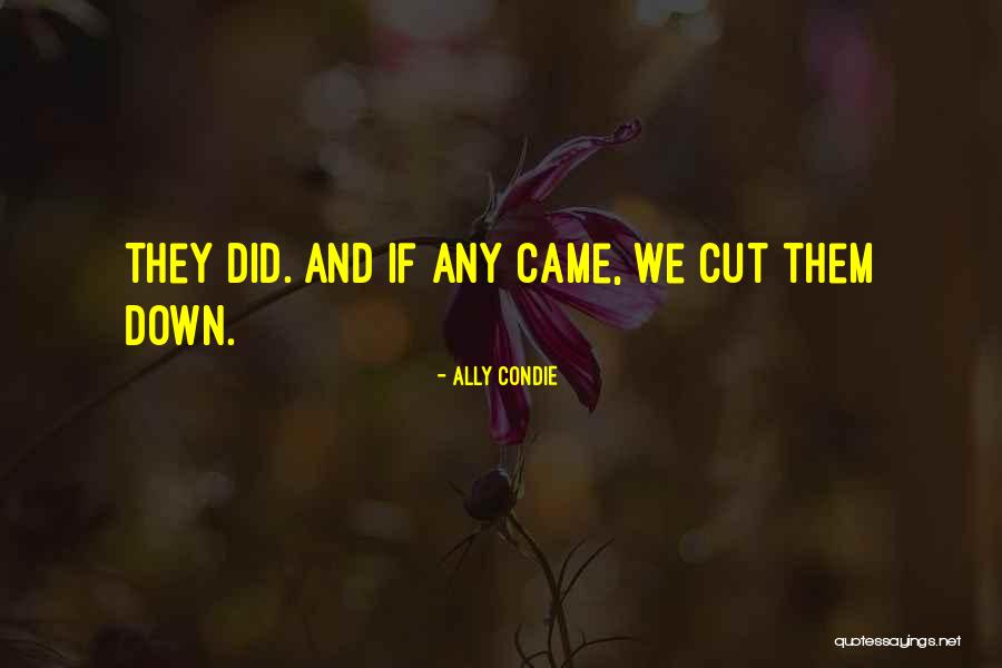 Drapac Usa Quotes By Ally Condie Drapac Usa Quotes By Ally Condie