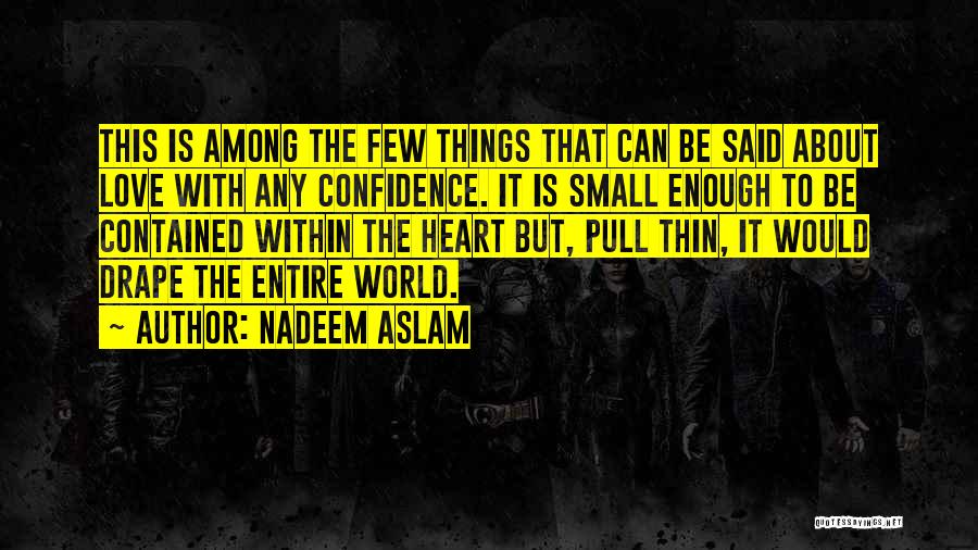 Drape Quotes By Nadeem Aslam