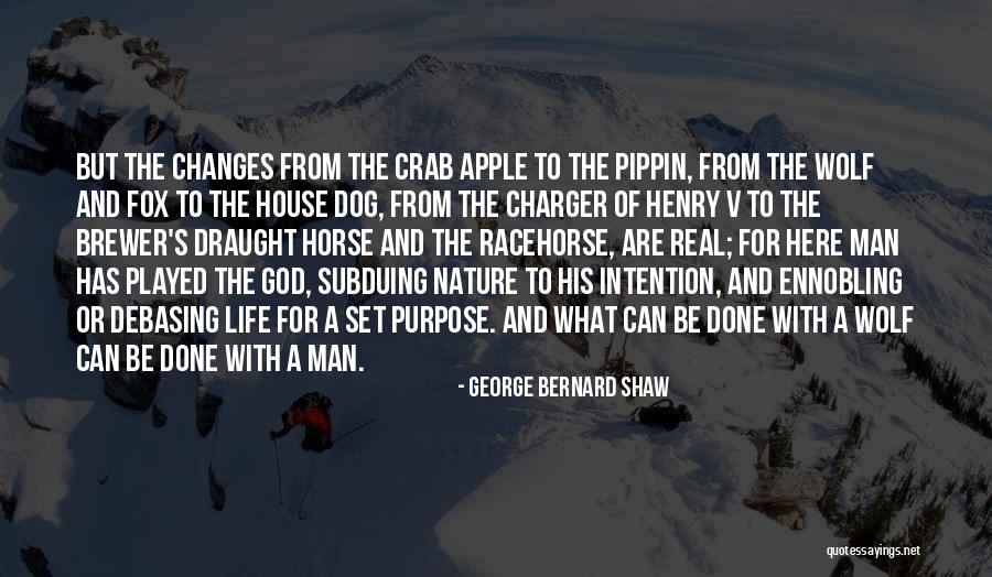 Draught Horse Quotes By George Bernard Shaw Draught Horse Quotes By George Bernard Shaw