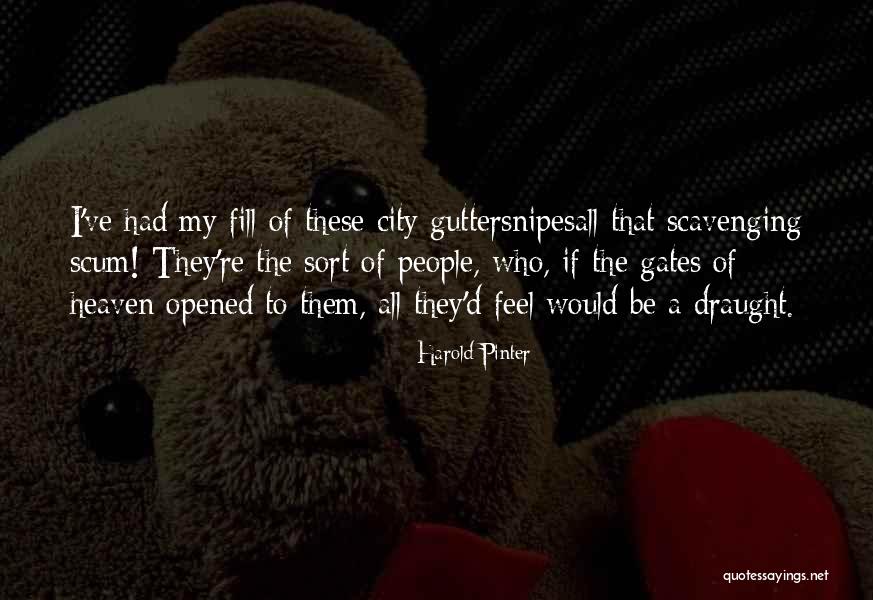 Draught Quotes By Harold Pinter Draught Quotes By Harold Pinter