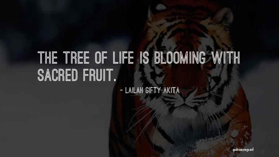 Draugu Stovykla Quotes By Lailah Gifty Akita Draugu Stovykla Quotes By Lailah Gifty Akita