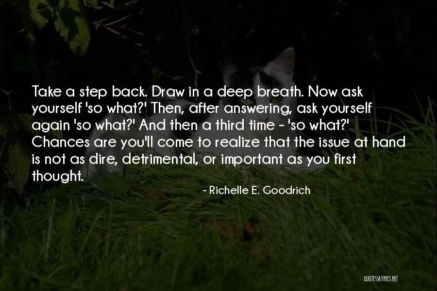 Draw Yourself Quotes By Richelle E. Goodrich