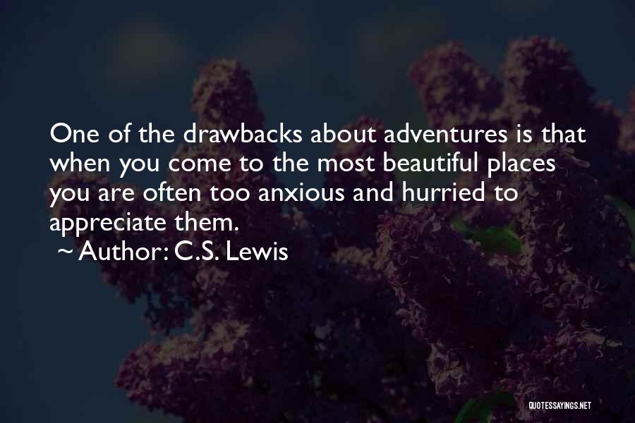 Drawbacks Quotes By C.S. Lewis