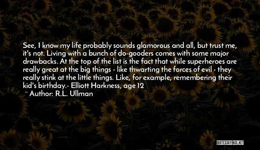 Drawbacks Quotes By R.L. Ullman