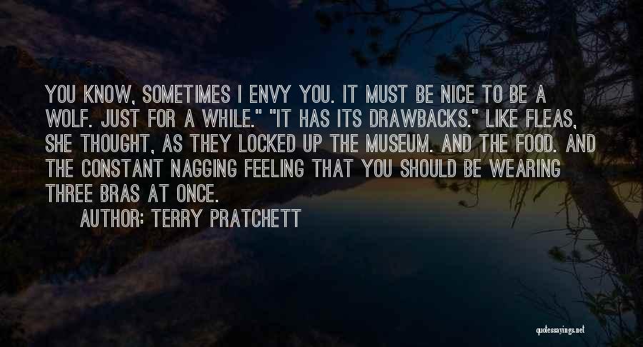 Drawbacks Quotes By Terry Pratchett