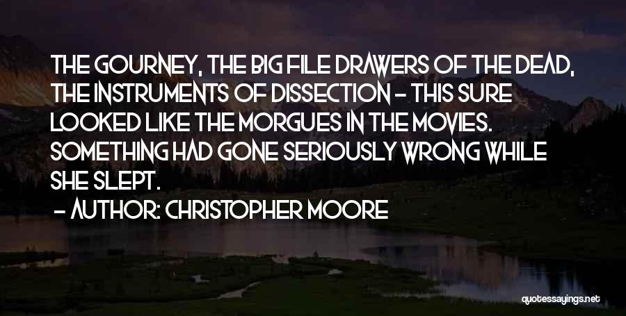 Drawers Quotes By Christopher Moore