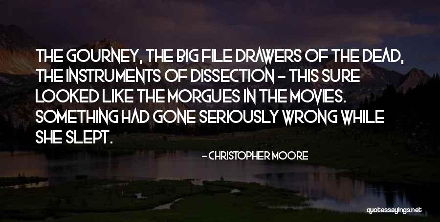 Drawers Quotes By Christopher Moore Drawers Quotes By Christopher Moore