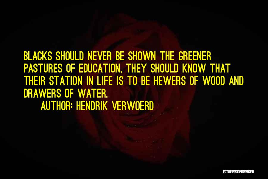 Drawers Quotes By Hendrik Verwoerd
