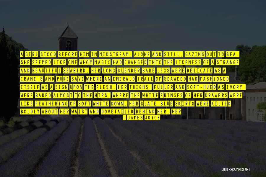 Drawers Quotes By James Joyce Drawers Quotes By James Joyce