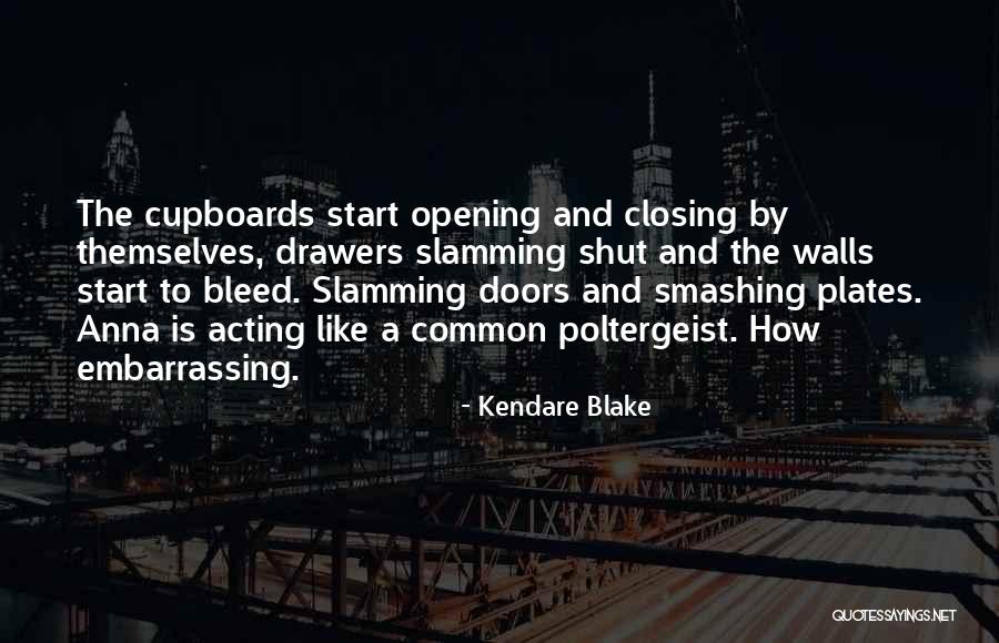 Drawers Quotes By Kendare Blake