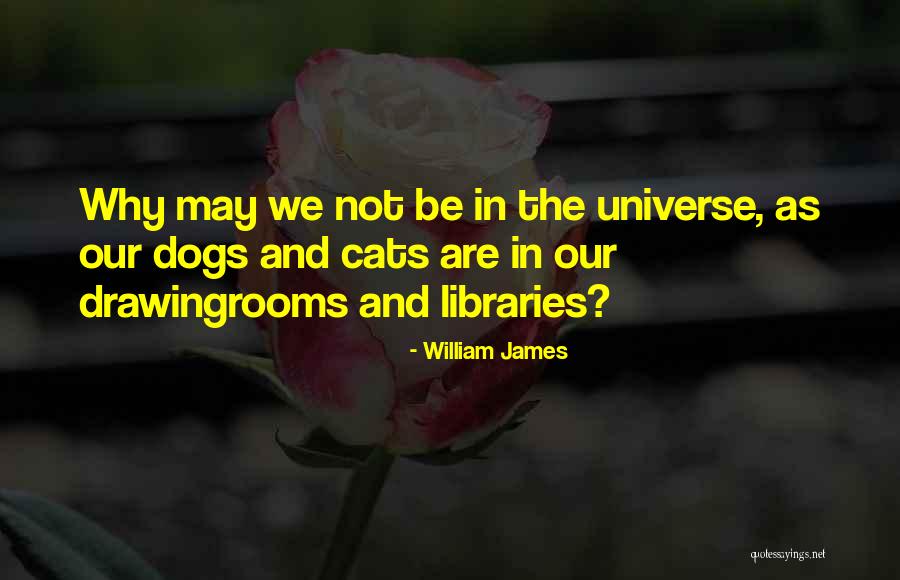 Drawingrooms Quotes By William James Drawingrooms Quotes By William James