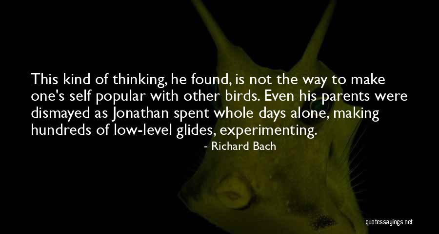 Drawling Quotes By Richard Bach Drawling Quotes By Richard Bach