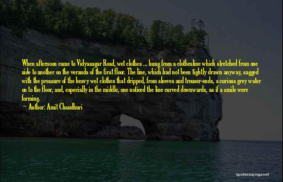 Drawn To Water Quotes By Amit Chaudhuri