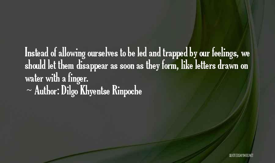 Drawn To Water Quotes By Dilgo Khyentse Rinpoche