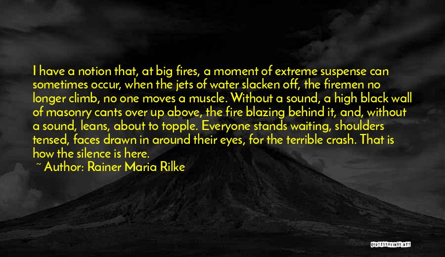 Drawn To Water Quotes By Rainer Maria Rilke