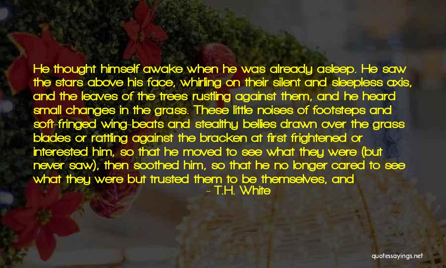 Drawn To You Quotes By T.H. White Drawn To You Quotes By T.H. White