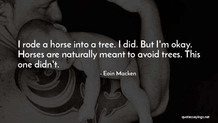 Draxe Brownie Quotes By Eoin Macken Draxe Brownie Quotes By Eoin Macken