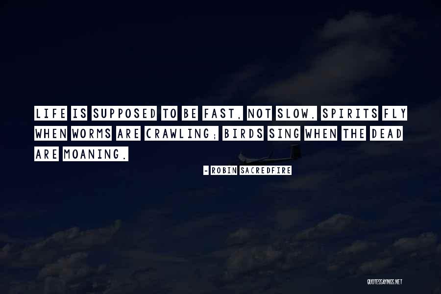 Dread Hair Quotes By Robin Sacredfire Dread Hair Quotes By Robin Sacredfire