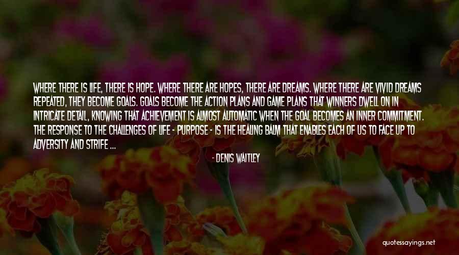Dream And Achievement Quotes By Denis Waitley Dream And Achievement Quotes By Denis Waitley