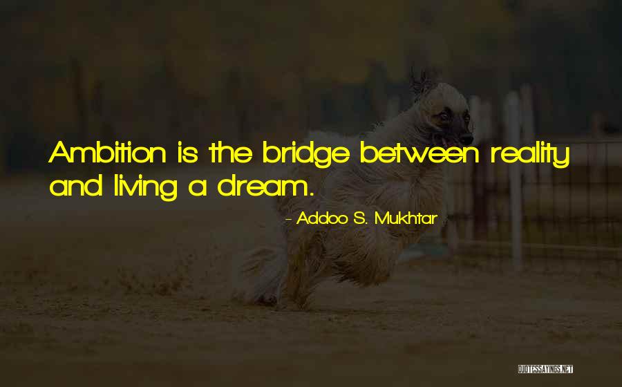 Dream And Ambition Quotes By Addoo S. Mukhtar