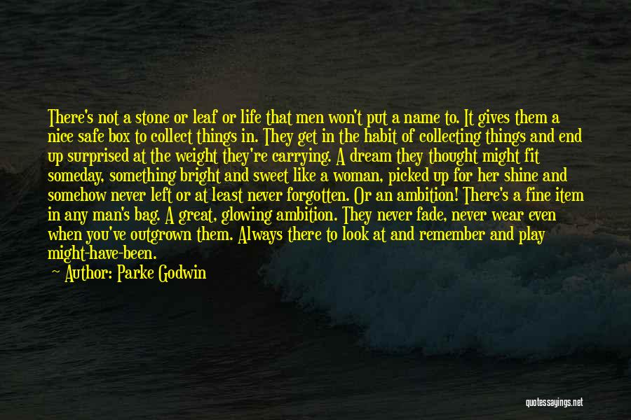 Dream And Ambition Quotes By Parke Godwin Dream And Ambition Quotes By Parke Godwin