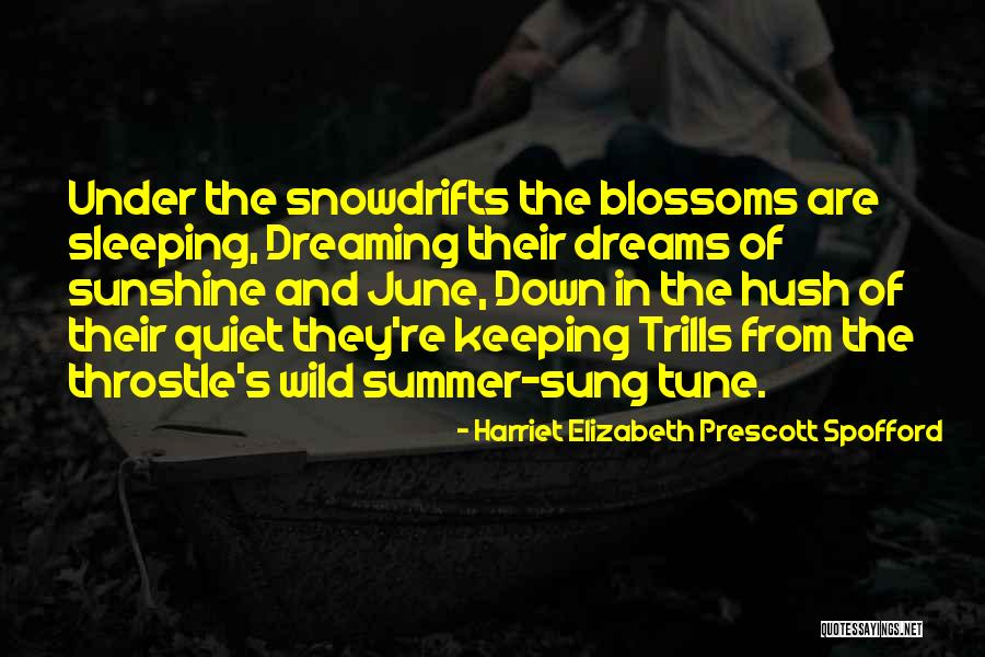 Dream And Sleep Quotes By Harriet Elizabeth Prescott Spofford