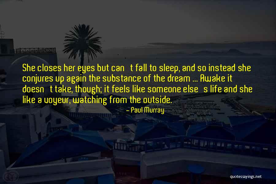 Dream And Sleep Quotes By Paul Murray