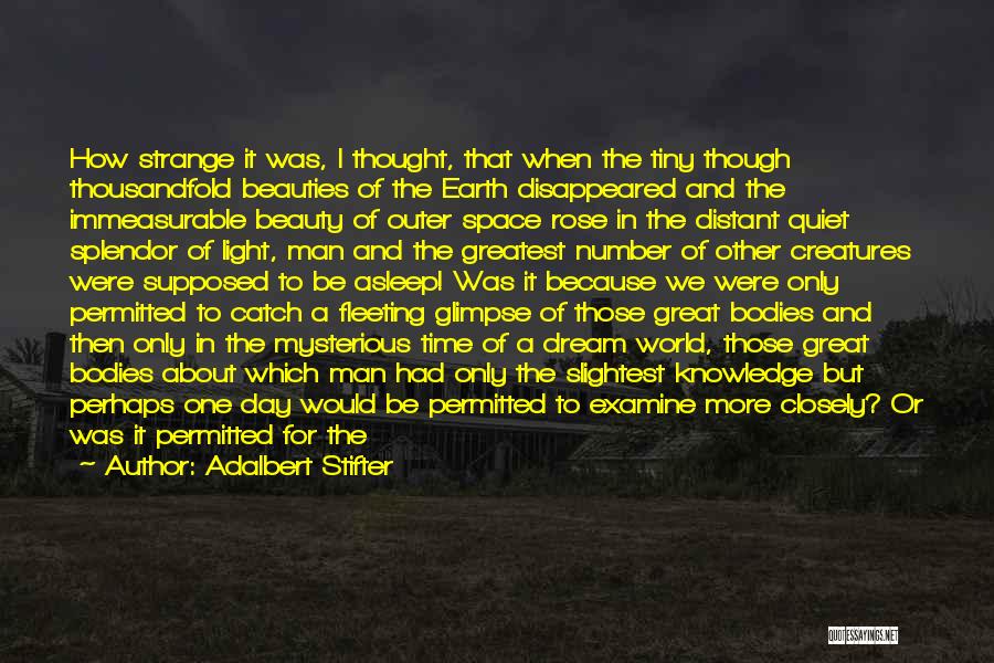 Dream And Stars Quotes By Adalbert Stifter