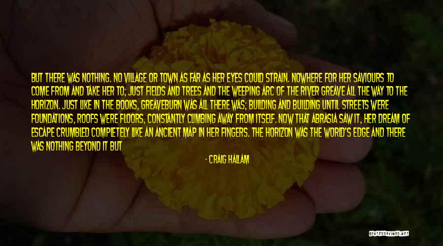 Dream And Stars Quotes By Craig Hallam