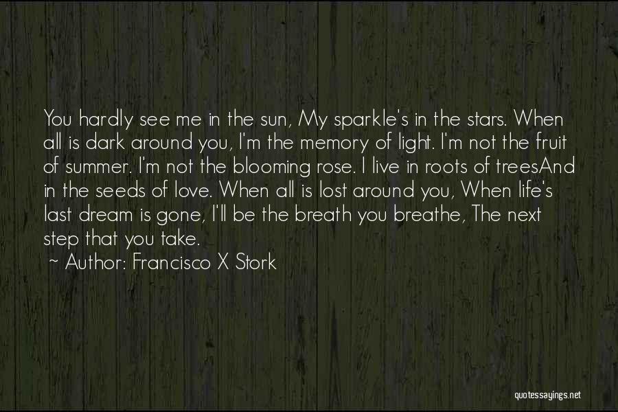 Dream And Stars Quotes By Francisco X Stork