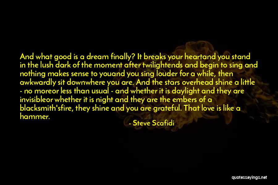 Dream And Stars Quotes By Steve Scafidi