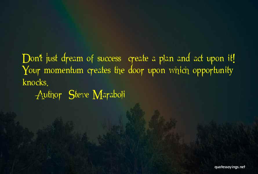 Dream And Success Quotes By Steve Maraboli